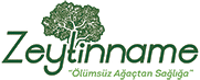 Zeytinname Logo